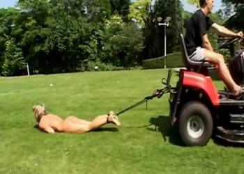 Domesticated Sex Slaves Daily Life