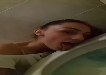 Submissive French slut eagerly licking toilet seat